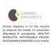 CARMEL ORGANICS Soapnut/Aritha/Reetha Powder 8 Oz - Natural Hair Care | No Preservatives | Sapindus Mukorossi Powder - Buy Online on GoSupps.com