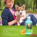 Nobleza Puppy Shampoo - Mild Almond & Honey - Itch Relief for Short-Haired Dogs (250ml) | Ideal for French Bulldogs & Pugs - Buy Online on GoSupps.com