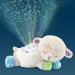 VTech 3-in-1 Starry Skies Sheep Soother - English Version - Buy Online on GoSupps.com