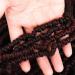 Bomb Twist Crochet Hair - 6 Packs 14 Inch Ombre Jump Twist Extensions | Synthetic Passion Twist with Curly Ends - Perfect for Stunning Hairstyles - Buy Online on GoSupps.com