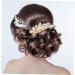 DOITOOL small willow leaves hair girl small bridal hair comb Miss Japanese and Korean wedding bridal hair comb headpiece for bride gold headpiece hair accessories Clip - Buy Online on GoSupps.com
