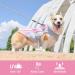 Kuoser Cool Vest for Dogs | Breathable & Reflective Cooling Coat for Hot Days | Perfect for Small to XXXL Dogs | Summer Outdoor Training Jacket - Pink - Buy Online on GoSupps.com
