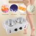 DaizySight Double Wax Warmer for Painless Hair Removal Professional Beauty Salon Wax Heater Pot for Women Men Domestic with Adjustable Temperature Set 220V (Double Pots) - Buy Online on GoSupps.com