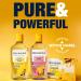 Dickinson's Original Witch Hazel Pore Perfecting Toner 16 Fl Oz - 100% Natural (Pack of 3) - Buy Online on GoSupps.com