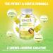 Buy Sugar-Free Creatine Monohydrate Gummies for Men & Women - Muscle Builder Energy & Pre Workout Support with Magnesium Zinc & Ashwagandha - Pineapple Flavor - Buy Online on GoSupps.com