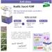 NUTRIG E - Basilic Sacr Fort - quilibre - Anti-Stress - Bien- tre - R gule L'Humeur Agit Contre Le Stress R duit La Fatigue - 2 Prises/Jour - 30 Comprim s - Programme 15 Jours - Fabriqu en France - Buy Online on GoSupps.com