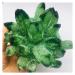 Natural Crystal Green Beautiful Flame Halo Quartz Crystal Cluster Specimen Decoration (Size : 800-900g)
