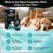 Nasal Health Support Drops for Cats & Dogs Pet Sinus & Respiratory Comfort Supplement Helps Maintain Clear Breathing Supports Seasonal Wellness & Immune Function - Buy Online on GoSupps.com