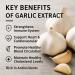 Garlic Extract 5000mg 200 Count Bottle of Softgels 12 Bottles by Total Natural Safe and Natural Cardiovascular Health Supplement for Men and Women GMP Premium Ingredients - Buy Online on GoSupps.com