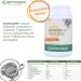 Lightsweet Sweetener - Calorie-Free Sugar Substitute | 4000 Pieces | High Sweetening Power & Sugar-Like Taste for International Shipping - Buy Online on GoSupps.com