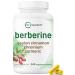 Berberine with Ceylon Cinnamon Chromium & Turmeric 240 Veggie Capsules | Berberine HCl Supplement + Turmeric Root & Cinnamon Bark Extract | Non-GMO Gluten Free