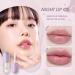 Buy Lip Filler & Hydrating Lip Plumper Set - Day & Night Treatments for Fuller Moisturized Lips | Natural Lip Enhancer & Gloss - Buy Online on GoSupps.com