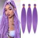 Light Purple Lavender Pre Stretched Braiding Hair 30 Inch Kanekalon Box Braid Hair Extensions 3 Packs Yaki Texture Pre feathered Braids Hair Easy to Use for Summer 30 Inch (Pack of 3) light purple