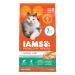 Iams Proactive Health Hairball Care Chicken and Salmon Adult Dry Cat Food 7 Pound (Pack of 1)