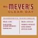 MRS. MEYER'S CLEAN DAY All-Purpose Cleaner Spray - Apple Cider 16 Fl Oz | Eco-Friendly Natural Cleaning Solutions for Home - Buy Online on GoSupps.com