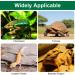 Amfun Reptiles Carpet 45x200cm - Non-Slip PVC Bed Linen for Terrarium | Ideal for Lizards Chameleons Turtles Iguanas & Bearded Dragons (Green) - Buy Online on GoSupps.com