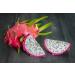 Exotic Dragon Fruit 2 Pieces 650 gm - Buy Online on GoSupps.com