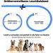 Nepfaivy Luminous Hand Hund USB Charging Waterproof Dog Collar - Adjustable LED Collar with 3 Lighting Modes for Safety - Blue Silicone - Buy Online on GoSupps.com