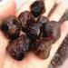 12pcs Natural Red Garnet Rough Stone Raw Stone Original Gem Lot SpecimenMinerals Gift Can be Used for ningxiao - Buy Online on GoSupps.com
