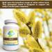 Priority One Vitamins P.R.F. - 90 Vegetarian Capsules with White Willow Bark | Natural Health Supplement - Buy Online on GoSupps.com