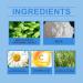 Teeth Whitening Powder Natural Teeth Whitening Powder Teeth Cleaning Powder Mint Teeth Whitening Teeth Beauty Powder Deep Cleans (2) - Buy Online on GoSupps.com