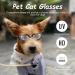 OmeHoin 2 Pcs Pet Dog Helmet Goggles Set Uv Protection Sunglasses Motorcycle Safety Hat With Adjustable Belt for Eye Head Protection for Dogs and Cats S size - Buy Online on GoSupps.com