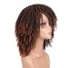 HANNE Short Twist Dreadlock Wig - Afro Curly Synthetic Hair for Black Women & Men (Color 350) - Buy Online on GoSupps.com