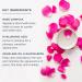 Heritage Store Rosewater Facial Moisturizer - Rose Complex, Niacinamide, Hyaluronic Acid - Vegan, Paraben & Cruelty Free - 2oz - Buy Online on GoSupps.com