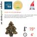 Christmas F rie Green Tea - French Tea - Green tea notes of citrus - Christmas Tea - Maison Fran aise - Loose tea - Buy Online on GoSupps.com