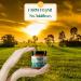 All Natural Beef Tallow For Skin - Grass Fed Beef Tallow and Honey Balm with Almond Oil - Unscented Whipped Tallow Moisturizer for Dry Skin Eczema & Sensitive Skin Care | Handmade in USA | 4oz - Buy Online on GoSupps.com