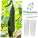 Milisten 10 Pcs Vegetable Shaping Fruit Cucumber Garden Vegetable Gourd Suite - Buy Online on GoSupps.com