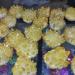 1pcs300-700gNatural Crystal Cluster Electroplated Yellow Crystal Cluster Reiki Stone Crystal Tip House Decorative NaturalCrystal QINTINYIN Home Goods (Size : 300-400g)
