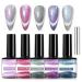 Holographic Glitter Gel Nail Polish - Cat Eye Gel Polish Kit with Magnet - 5 Colors Glitter Phantom Chameleon Magnetic Gel Nail Varnish - Soak Off UV Gel Nail Polish Home DIY Manicure