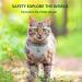 Anlitent Soft Mesh No Pull Cat Harness & Lead Set - XS Under 3lbs - Escape Proof Vest for Walking Cat/Kitten - Grey - Buy Online on GoSupps.com