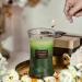 Aroma Naturals 3-Layer Scented Candle 21.52 oz - Balsam & Cedar | 100-Hour Burn Time | Soy Wax | Aromatherapy Candle with Wooden Lid - Buy Online on GoSupps.com