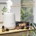 HIQILI Fragrance Oil Spice Set - 6 Premium Candle Oils for Fall Scents Cinnamon, Apple Cider, Pumpkin, Vanilla, Harvest Spice, Fall Leaf - Buy Online on GoSupps.com