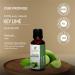 Key Lime Oil 15 ML - 100% Pure Therapeutic Grade Citrus Essential Oil | Natural & Undiluted Key Lime Oil 0.51 Fl Oz - Buy Online on GoSupps.com