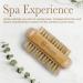 Nevlers Natural Boar Bristle Body Brush Set - Exfoliating Dry Brush with Cellulite Massage Brush and Long Wooden Handle - Buy Online on GoSupps.com