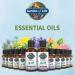 Garden of Life 100% Organic Rosemary Essential Oil - 15ml | Pure, Undiluted, Non-GMO for Diffuser & Aromatherapy - Buy Online on GoSupps.com