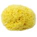 Honeycomb Natural Sea Sponge - Strong and Durable - Suitable for Both Children and Adults for use in Bathing Cleansing exfoliating and applying Cosmetics 13 cm