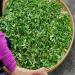 250g de Th Oolong Th Tieguanyin biologiques naturels Cravate Th Vert Guan Yin - Buy Online on GoSupps.com