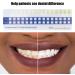 Portable Teeth Color Chart | Professional Whitening Shade Guide for Home & Travel | Ideal for Dentists & Dental Clinics - Buy Online on GoSupps.com