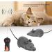 Remote Mouse Cat Toy Electronic Remote Control Rat Pet Toy Remote Control for Cat Puppy Funny Toy(Gray) - Buy Online on GoSupps.com