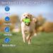 Divinggoe 3.94 Dog Ball - Durable Kickball for Indoor & Outdoor Play | Ideal Dog Game for Active Pets - Buy Online on GoSupps.com