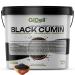 GiDeli GiDeli Whole Black Cumin Seeds in a 10kg Bucket of Real Black Seed Versatile in Your Kitchen