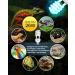 Tobebright UVB Birne E27 26W - Best UVB Reptile Terrarium Lamp for Turtles Snakes & Aquariums - AC220-240V UVB 5.0 - Buy Online on GoSupps.com