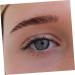 FOMIYES 5 Sheets Eyebrow 3d Sticker Lady Tools Makeup Eyebrow Stickers Temporary Brow Tattoos Artificial 4d - Buy Online on GoSupps.com