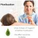 Wormwood Essential Oil 100% Pure - Undiluted for Aromatherapy Foot Bath & Moxibustion - 15ml (0.49oz) - Premium Quality International Shipping - Buy Online on GoSupps.com
