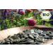Naturherz Organic Pumpkin Seeds 1kg - Crunchy Styria Farm Fresh - Buy Online Internationally - Buy Online on GoSupps.com