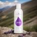 Young Living Lavender Bath & Shower Gel 8 oz - Gentle Cleanser Moisturizes Skin Premium Essential Oil Body Wash - Buy Online on GoSupps.com
